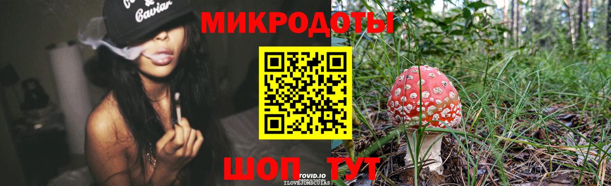 Галлюциногенные грибы прущие грибы Екатеринбург
